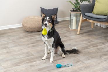 Trixie Jumper am Seil Hundespielzeug
